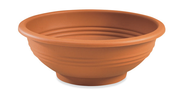 Bowl Eolia