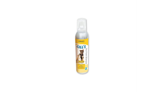 Gills Dry Foam Shampoo