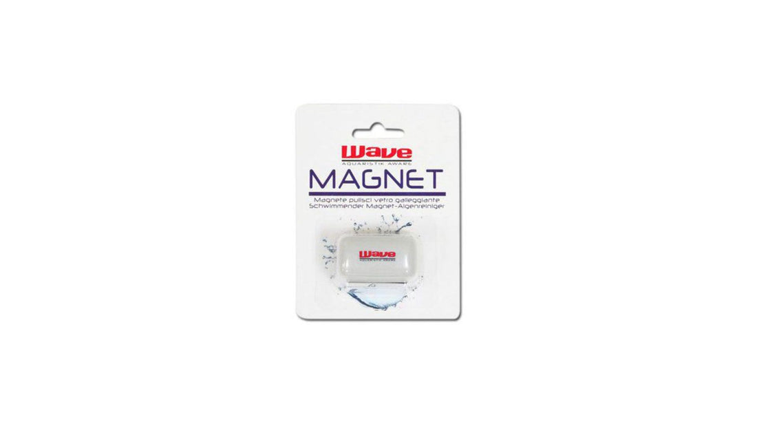 Floating Magnet