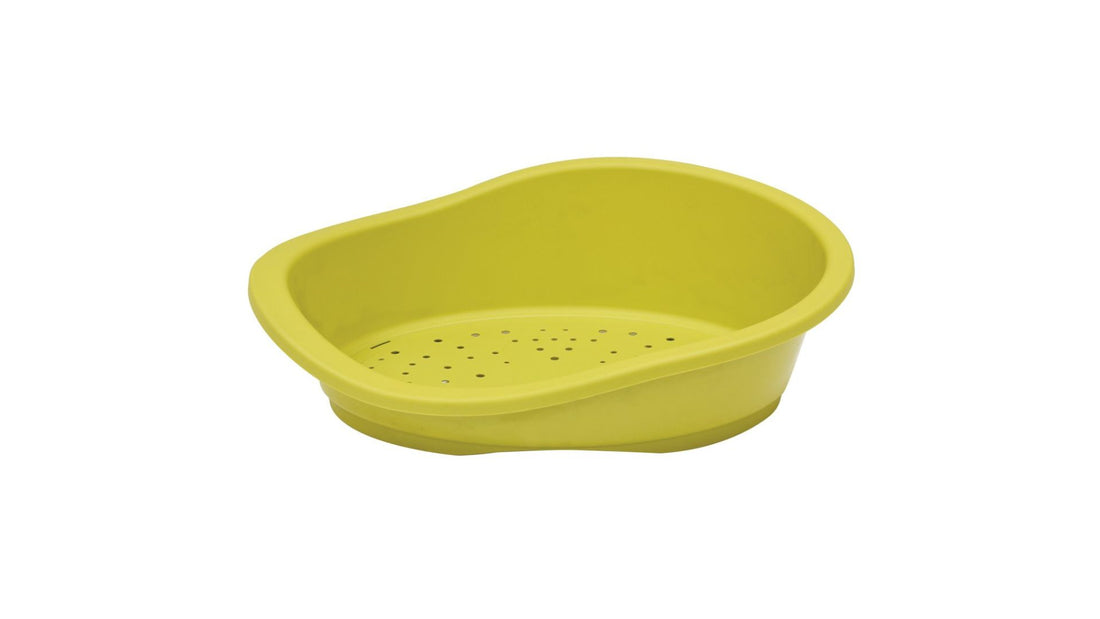 Basket Lounge