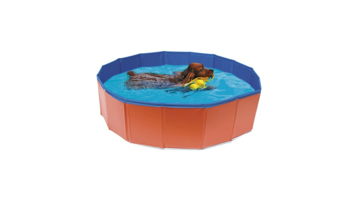 Dog Swimming Pool