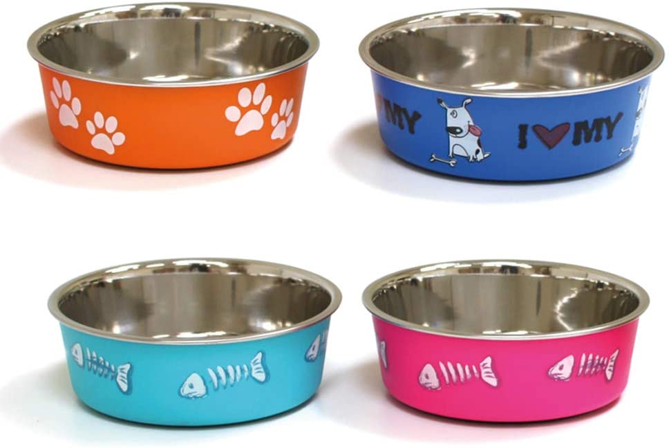 Steel Bowl Roxy Assorted Colours