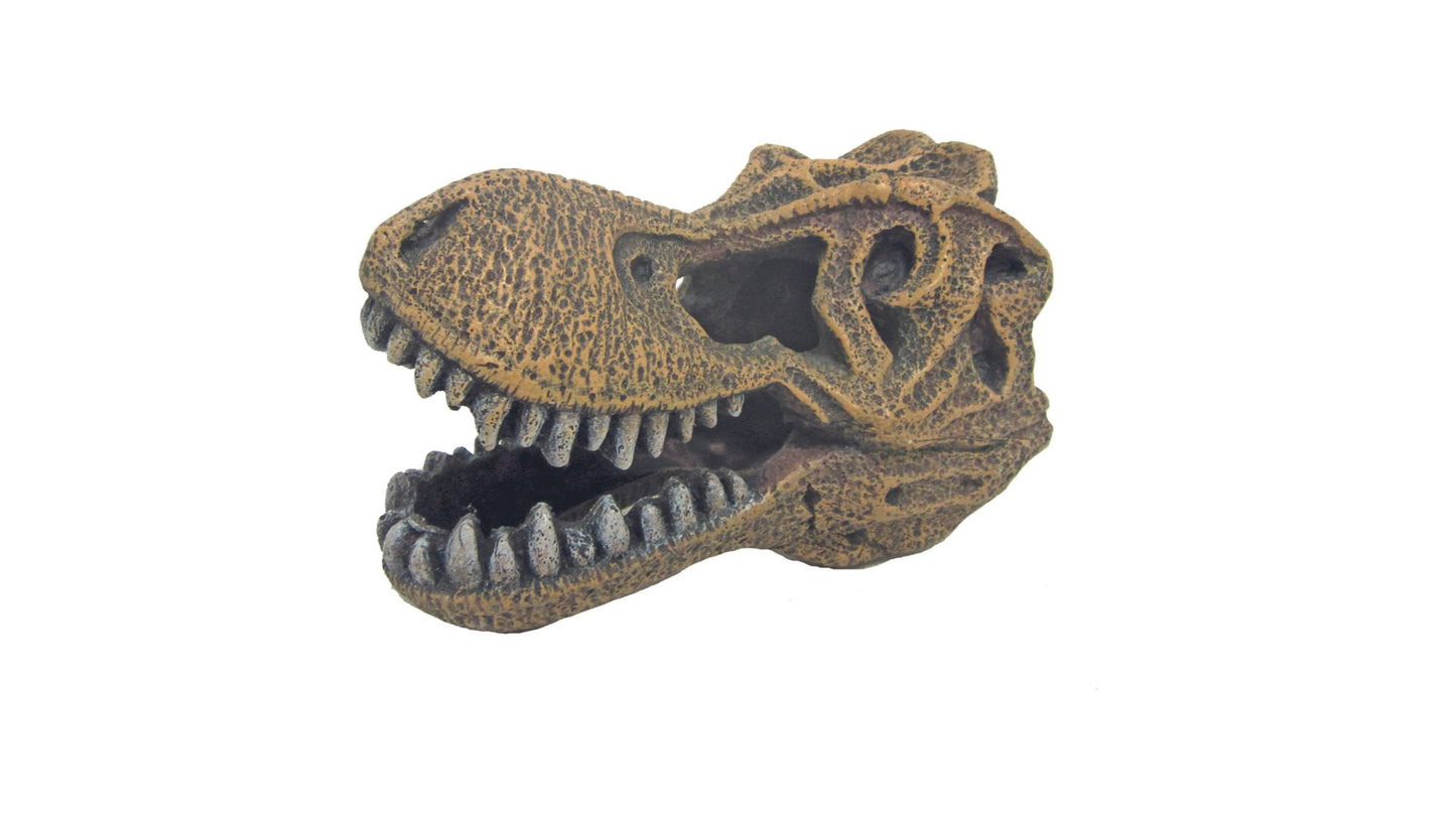 Tyrannosaurus Skull