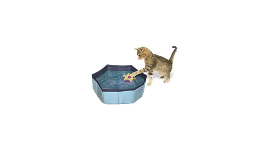 CAT TOY SWIMMING POOL 30X10CM