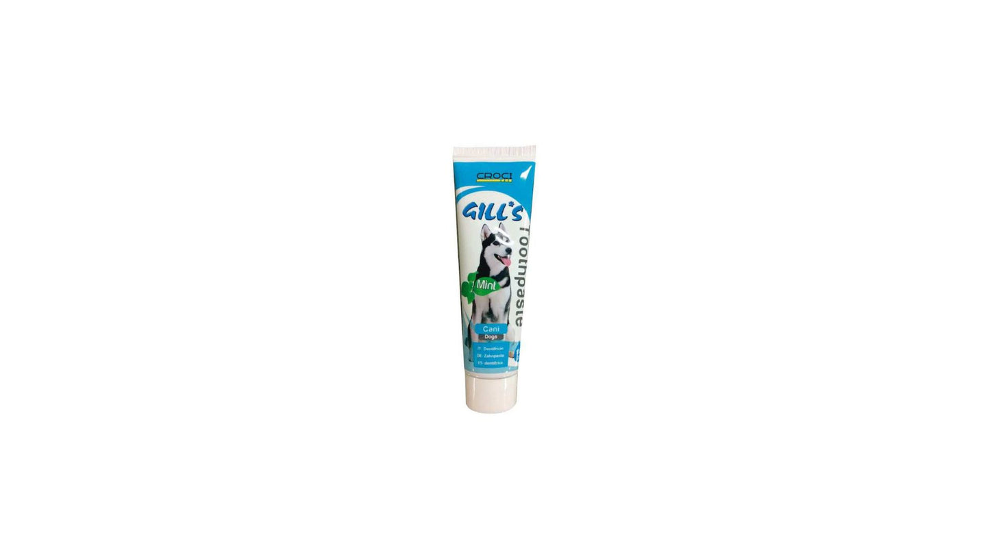 Gill's Mint Toothpaste