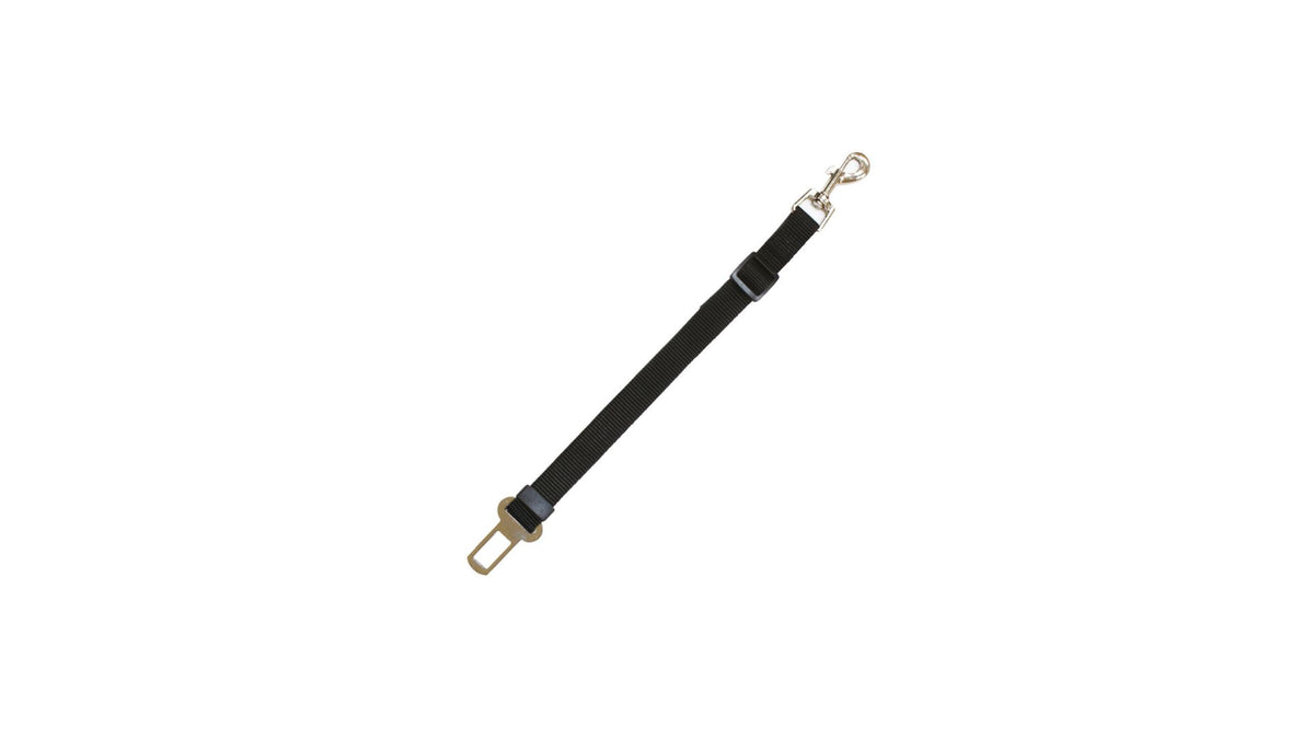 Car Seat Belt Hook