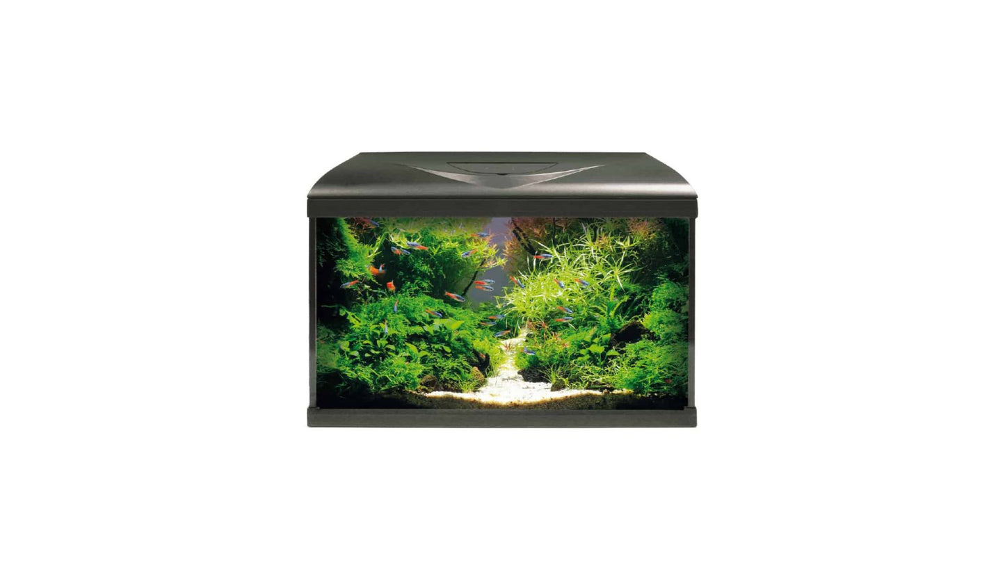 Amtra System Aqarium 60 Black