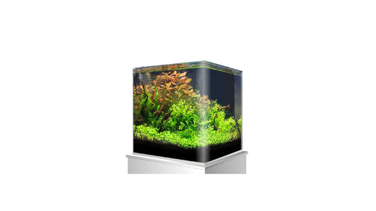 Amtra Nano Tank 45