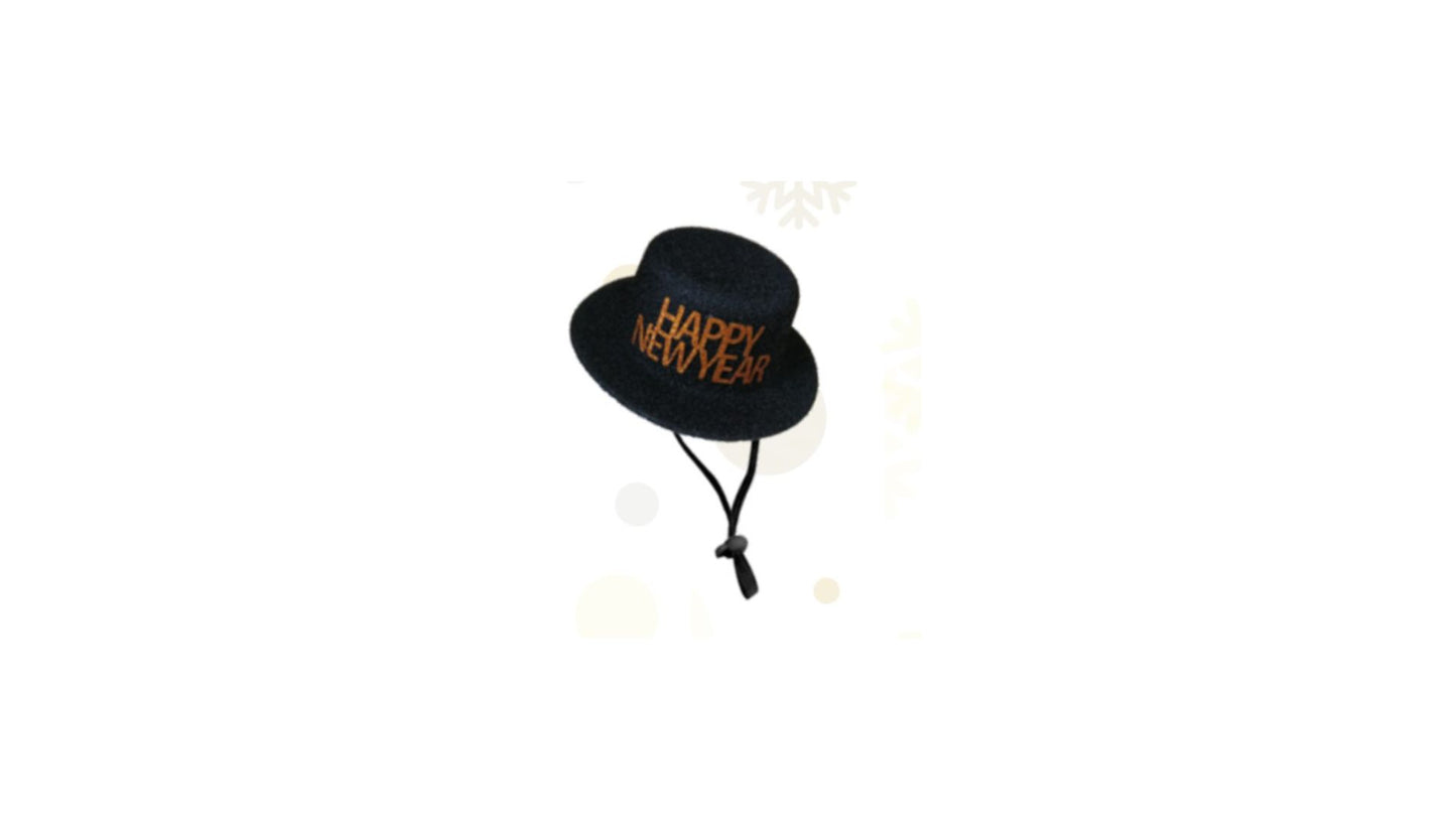New Year Hat