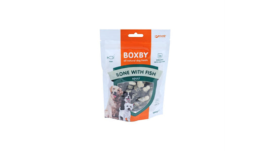 Boxby Bone with Fish