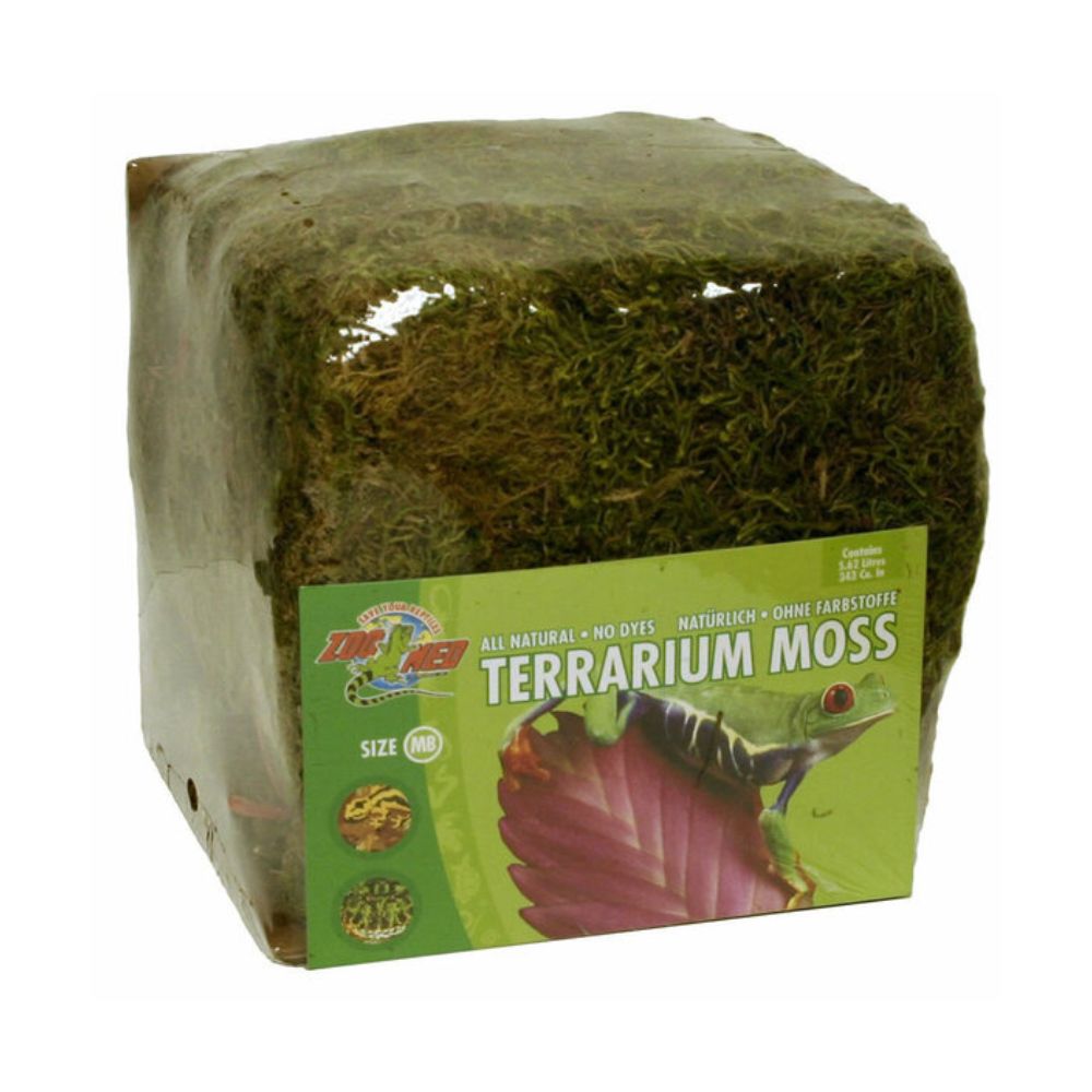 Terrarium Moss Busta