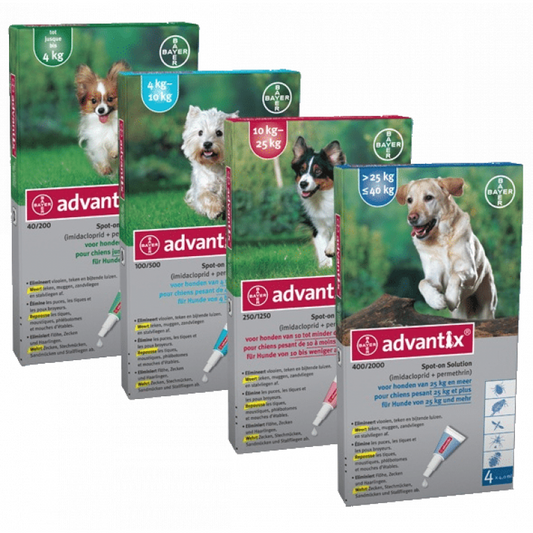 Advantex Dog