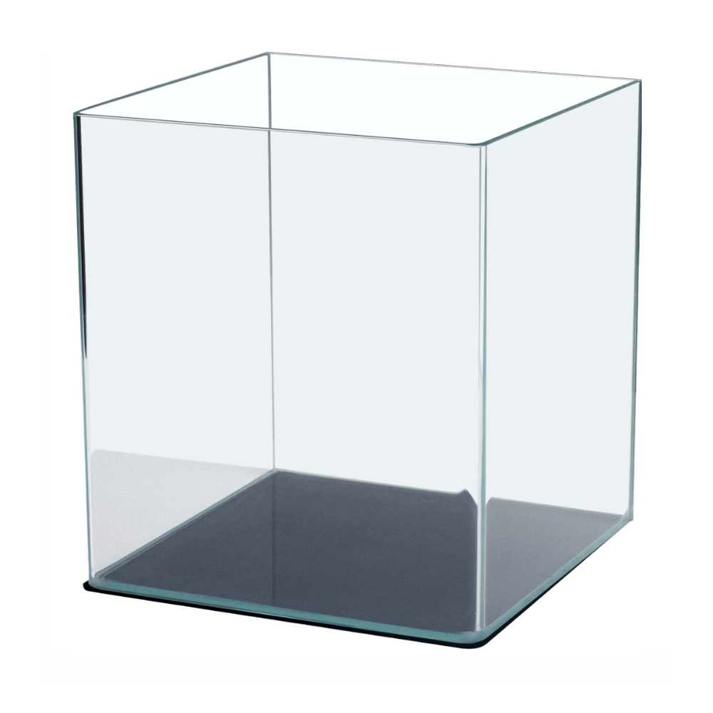 Glass Aquarium , Curved Edges