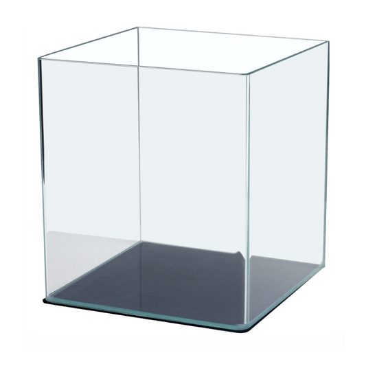 Glass Aquarium , Curved Edges