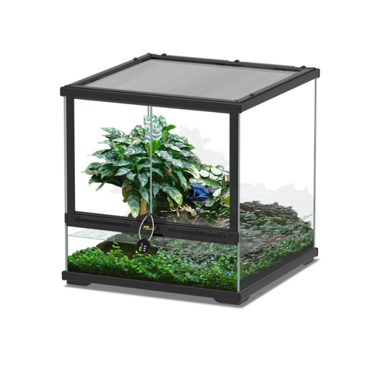 terrarium for reptiles and amphibians
