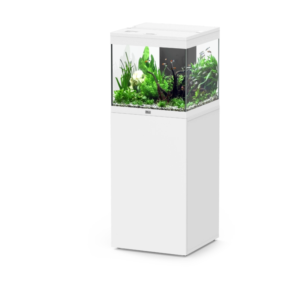 Aquarium AquaTower