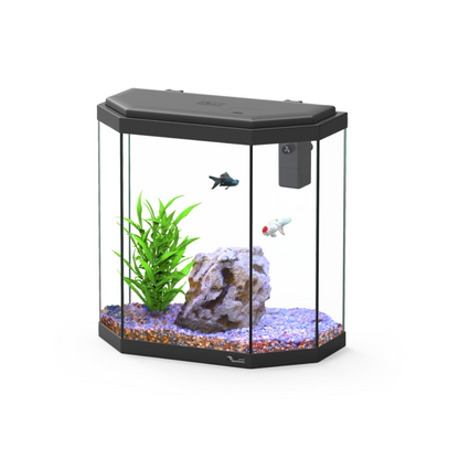 Aquatlantis Explorer Rome – 30 L Aquarium Kit (40×20×41 cm)