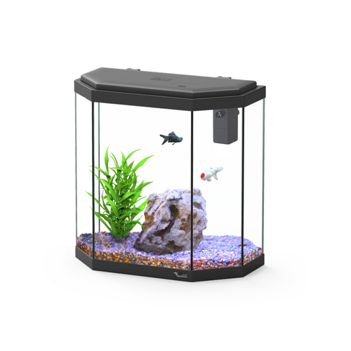 Aquatlantis Explorer Rome – 30 L Aquarium Kit (40×20×41 cm)