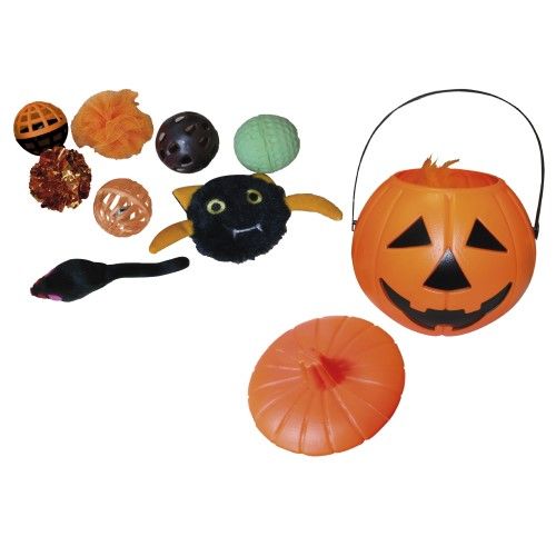 Trick or Treat Pumkin Cat Toy