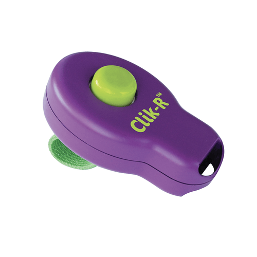 Clik-R Training