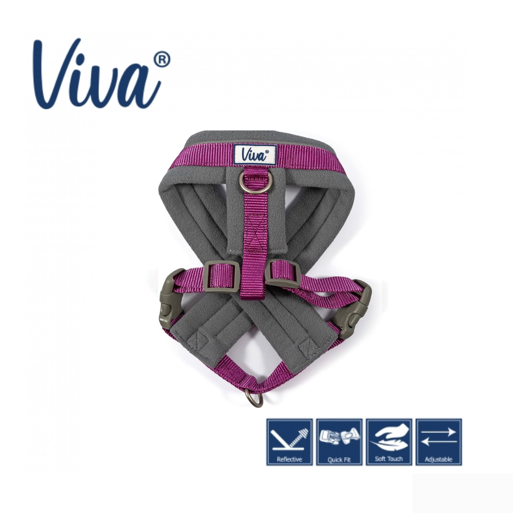 VIVA PADDED HARNESS Purple