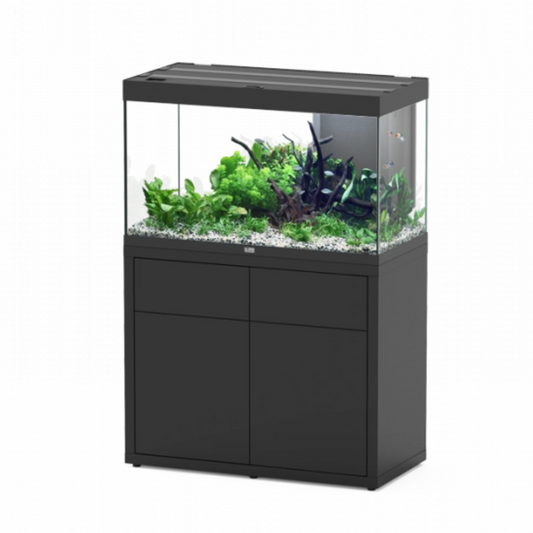 Aquarium Sublime 100x50 Gloss Black + Canister Filter