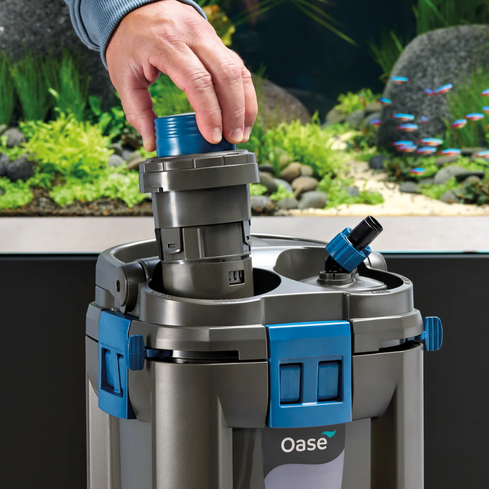 OASE BioMaster Thermo Ver2 External Canister Filter – With Built-In Heater (250 / 350 / 600 / 850)