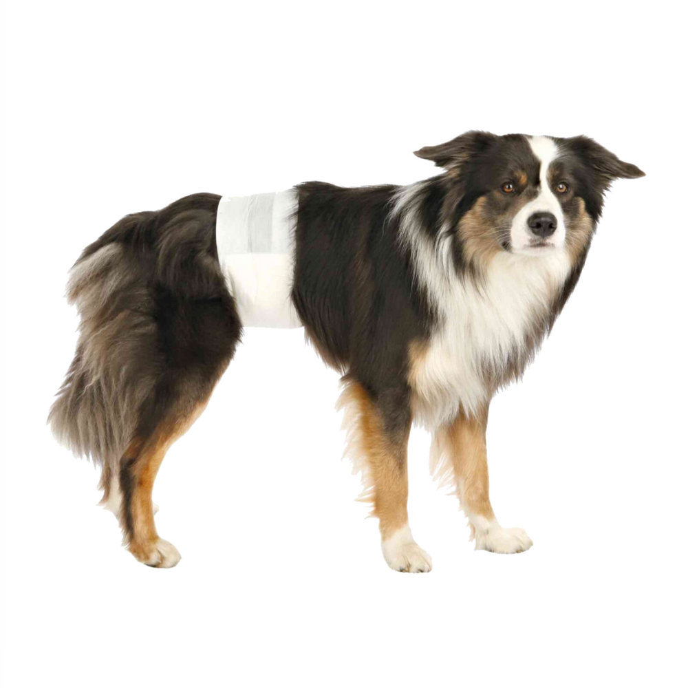 TRIXIE Protective Diapers Nappy for Male Dogs