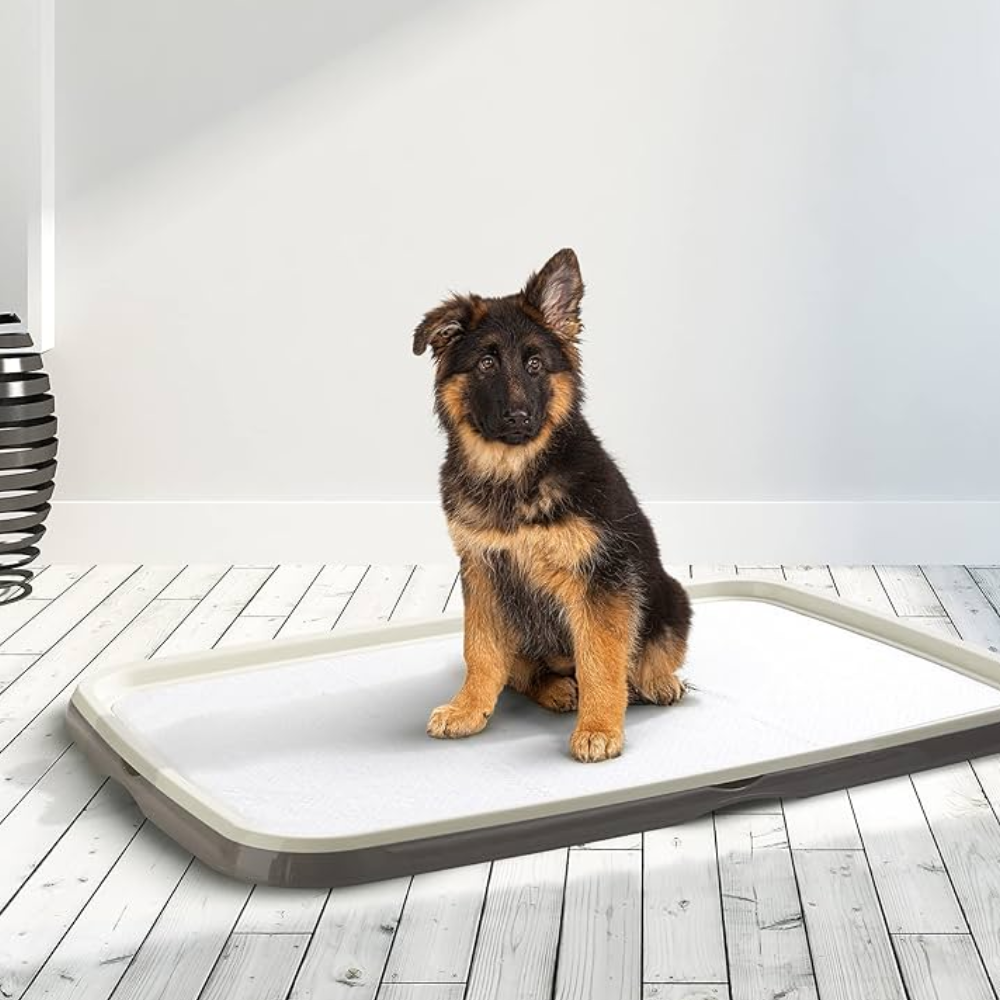 Gill's Puppy Trainer – Effective House Training Aid
