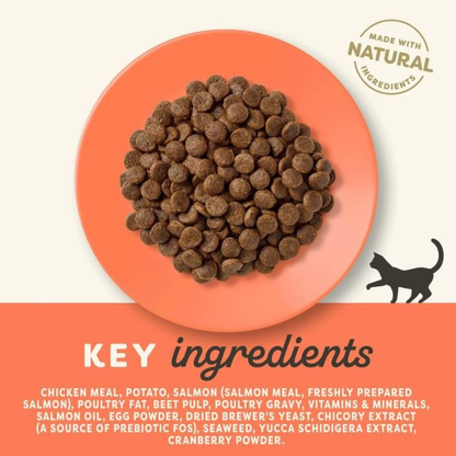 Applaws Grain-Free Cat Food - Chicken & Salmon (400g & 2kg)