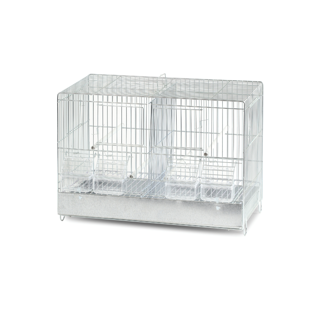 Domus Molinari Zincata Bird Cage - 45x25x33 cm | Metal Bottom