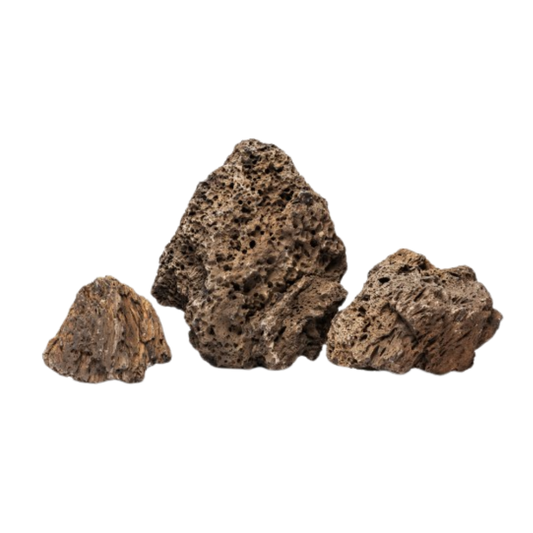 Loa Rock – Natural Aquascaping Stone for Aquariums & Shrimp Tanks