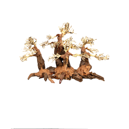 FOREST BONSAI S – Natural Aquarium Bonsai Driftwood | Handcrafted Aquascaping Tree (30×26×20cm)