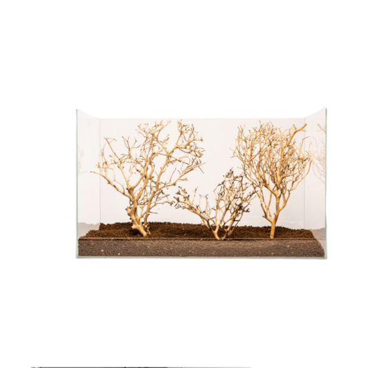 CORAL TREE M – Medium Natural Driftwood Aquarium Decoration | 20–30cm Aquascaping Accent
