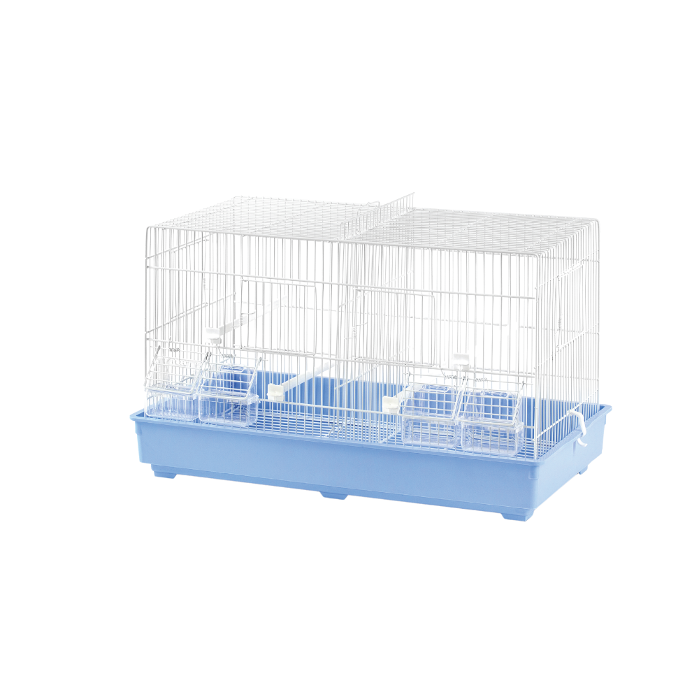 Domus Molinari Gabbia Cova 55 – Breeding