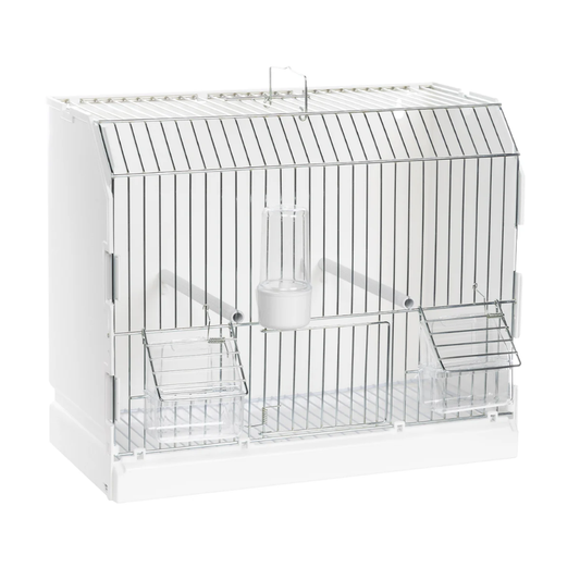 2GR Art. 315/FZ3 Show Cage – Metal Grid Exhibition Bird Cage (36 × 17 × 30 cm)