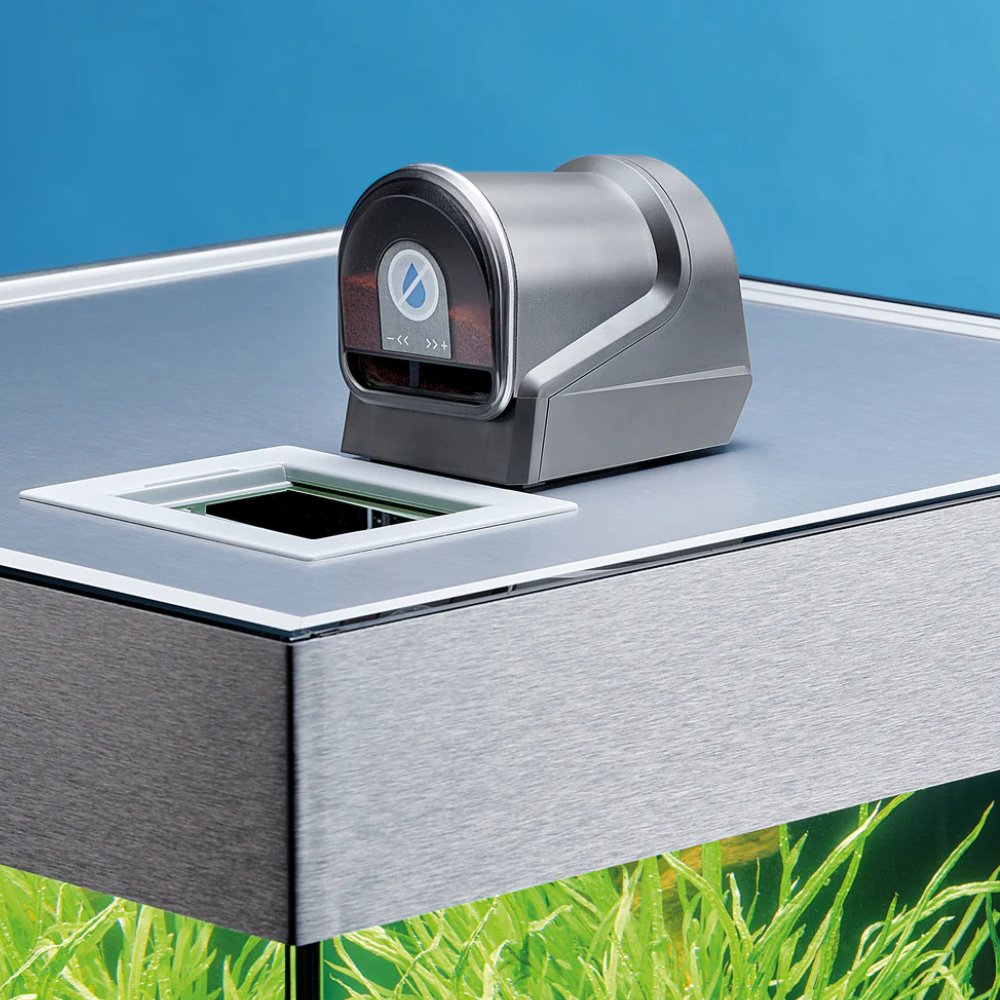 Oase FishGuard – Professional Automatic Fish Feeder
