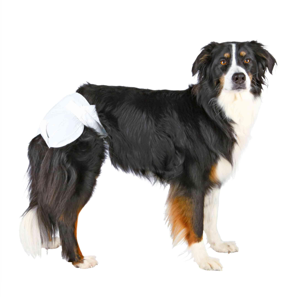 TRIXIE Protective Diapers for Female Dogs