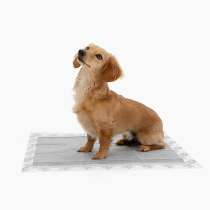 Croci Hygiene Training Pads 60x40 | 60x60 | 60x90cm