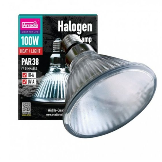 Arcadia Halogen Basking Spot – 100W High-Efficiency Heat Lamp