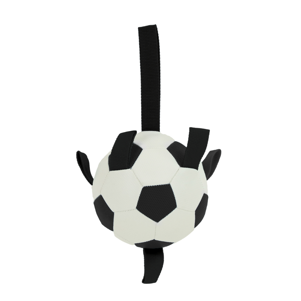 Ancol Chase Grab Tabs Football – High-Visibility Interactive Dog Toy