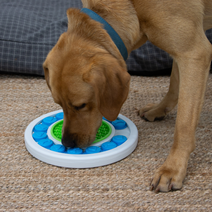 Ancol Örva Puzzle Ring – Interactive Mental Enrichment Toy