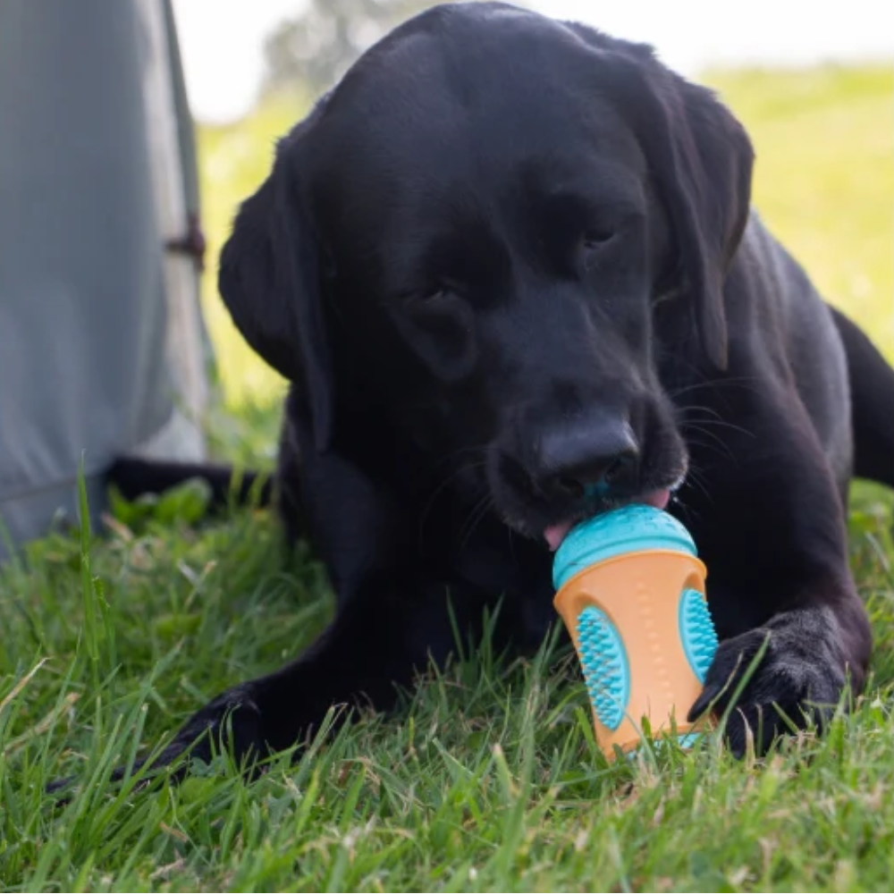 Ancol Örva Sensory Roll Treat Toy – Interactive Enrichment