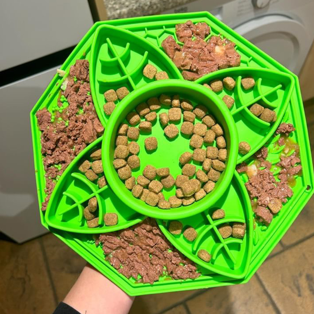 Ancol Örva Suction Cup Slow Feeder (Leaf Design) – Interactive Feeding Mat