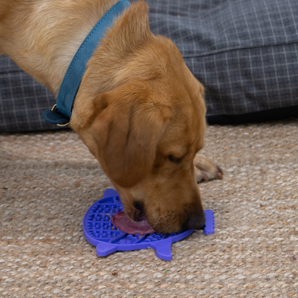 Ancol Örva Puffer Fish Lick Mat – Calming Enrichment Tool