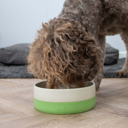 Ancol Non-Slip Ceramic Bowl with  Silicone Base