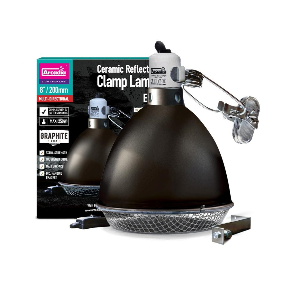 Arcadia Graphite Reflector Clamp Lamp (14cm & 20cm)