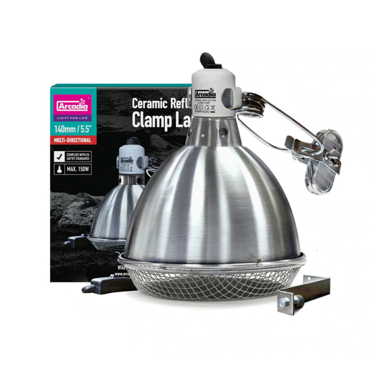 Arcadia Reflector Clamp Lamp E27 (Stainless Steel)
