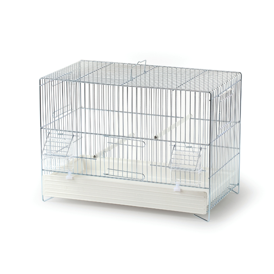 Gabbia Zincata Fondo Bianco 50×27×33 cm – Durable Metal Bird Cage with White Plastic Base