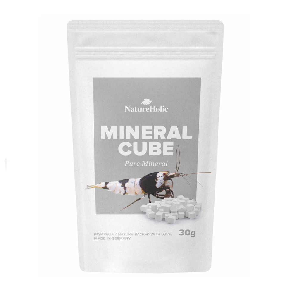 NatureHolic MineralCube Pure Mineral | Essential Mineral Supply for Invertebrates
